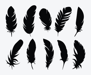 Modern Minimalist Feather Vector Set