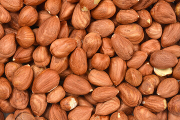 An overhead close-up shot intensely details a dense heap of shelled and skin-on hazelnuts, filling the entire horizontal frame with their natural texture and earthy tones