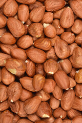 Obraz premium A vertical close-up shot intensely details a dense pile of shelled and skin-on hazelnuts, filling the entire frame with their natural texture and earthy tones