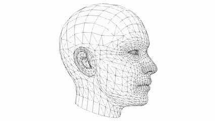 Wireframe Human Head Profile 3D Model.