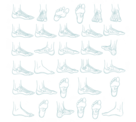 Foot Anatomy in Abstract Teal Artwork Diverse Perspectives on Human Feet for Medical or Artistic Designs
