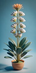 Obraz premium aloe vera plant