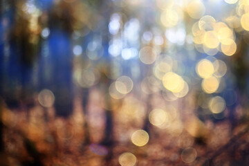 Autumn sunny landscape, view in the rays of a sunny autumn day in the park