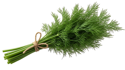 Fresh dill herb bunch tied with twine on black background