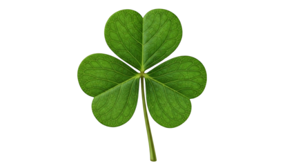 Single green shamrock leaf isolated on black background