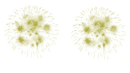 Obraz premium Golden fireworks light up the night sky, creating a magical celebration atmosphere with sparkling bursts and radiant energy for festive events