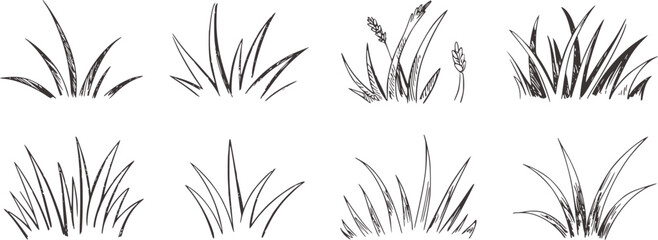 Obraz premium Eight black and white sketch illustrations of grass tufts