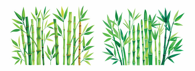 Obraz premium Two bamboo groves with green stalks and leaves, watercolor style, on a white background art 