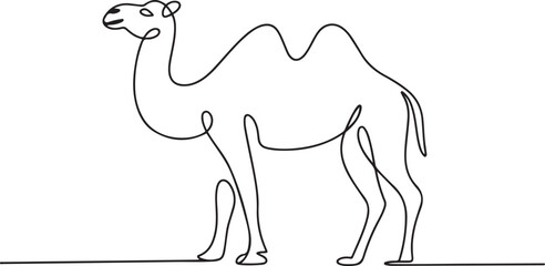 Fototapeta premium Eid ul adha concept camel Continuous one line art. one line Icon drawing