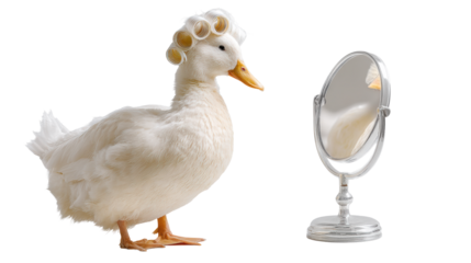 Stylish Duck with Hair Rollers on Transparent Background