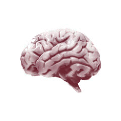 Halftone illustration of a human brain in a dotted vintage style. Minimalistic medical silhouette suitable for science, neurology, anatomy and education designs.