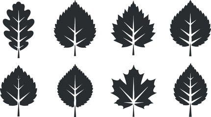 Fototapeta premium Stylized black silhouette vector icon set featuring various leaf designs for nature-themed projects and illustrations