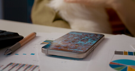 Professional businesswoman resting during workday, browsing photos on smartphone while gently petting cat near workplace documents and calculator