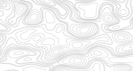 Topography background. Vector banner. Topography background. Vector geographic contour map. Background of the topographic map. Topographic map lines, contour background.  © Mst