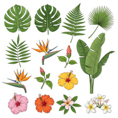 Naklejka premium Hand Drawn Botanical Flowers and Leaves Set – Roses, Sunflowers, Hydrangea, Marigold, Monstera Vector Illustration