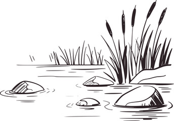 Black and white illustration of reeds and rocks in water
