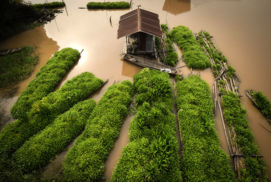 Floating gardens in Inle Lake, Myanmar.