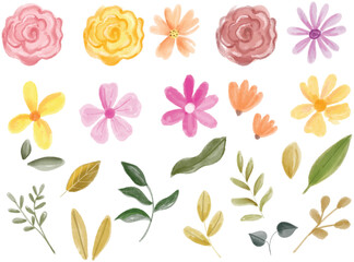 Set of flowers and leaves Vector