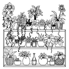 Stylized line art of an interior plant display shelf featuring a variety of succulents with plump leaves, trailing vines with delicate tendrils, and lush leafy plants with intricate details, accompani