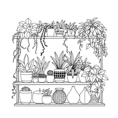 Stylized line art of an interior plant display shelf featuring a variety of succulents with plump leaves, trailing vines with delicate tendrils, and lush leafy plants with intricate details, accompani