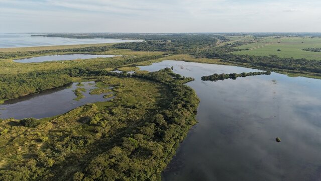 Aerial view of a lake surrounded by lush green vegetation and meadows