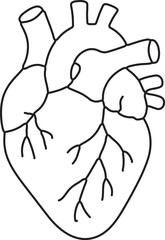 illustration of heart  organ in simple Linear style. Doodle outline vector illustration 