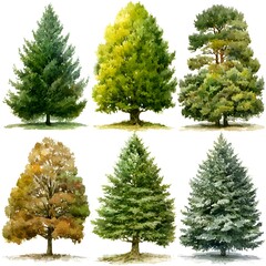 Fototapeta premium A variety of watercolor trees painted in different shapes and colors showcase a diverse collection of foliage in an artistic style.