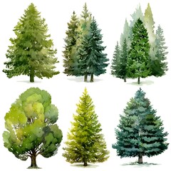 Fototapeta premium A collection of diverse watercolor tree illustrations showcases various shapes and textures on a clean white background highlighting nature's beauty.