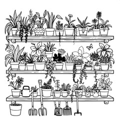 Simple black-line illustration of wooden shelves packed tightly with a variety of lush houseplants of different shapes and sizes, including tall and slender plants, rounded succulents, and trailing vi