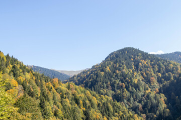 Obraz premium Forested mountain landscape with autumn foliage, clear blue sky and distant peak in bright daylight