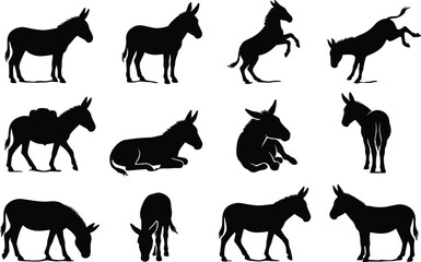 Donkey and Mule Silhouette Collection Diverse Set of Farm Animal Poses, Equine Icons, Stable Livestock Stencils, and Various Black Domestic Animal Vector Graphics.