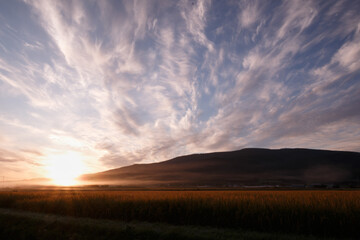 Morning sunrise and dramatic clouds over Japanese rice fields