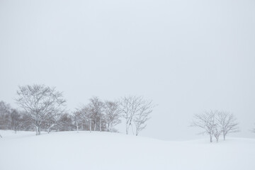 Bare trees on snowy winter hillside landscape
