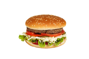 Burger isolated on a white background. Fast and tasty food.