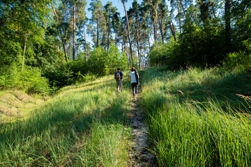 Fototapeta premium Two hikers ascend a sunlit grassy path through a vibrant forest, enjoying a peaceful outdoor adventure. Ideal for themes of nature, exploration, and healthy lifestyle.