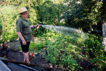 Elderly man in a straw hat watering lush green plants in his vibrant home garden with a hose on a sunny day. A peaceful scene of gardening and sustainable living.