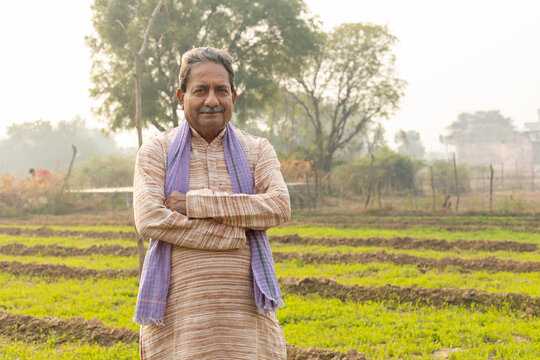 Confident senior rural indian farmer standing arms crossed at agriculture field. Smiling old man holding stick looking at camera. People of india.