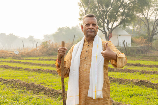 Happy senior rural indian farmer standing at agriculture field do thumbs up. Smiling old man holding stick looking at camera. People of india.