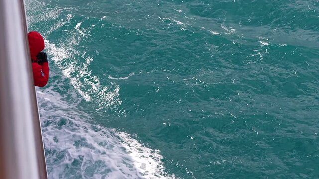 A Commerson&rsquo;s dolphin swims beside a ship near the Falkland Islands while a person watches from above. Clear view of the dolphin in motion through the water.