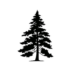 Silhouette of Pine Tree, vector, illustration, design