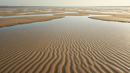 A tidal sand ripple landscape illustration background with shallow pools and a flat distant sea