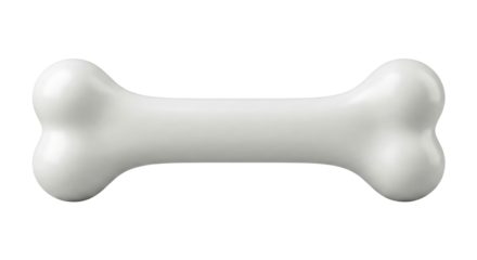 Isolated white bone illustration with smooth reflections against a transparent setting