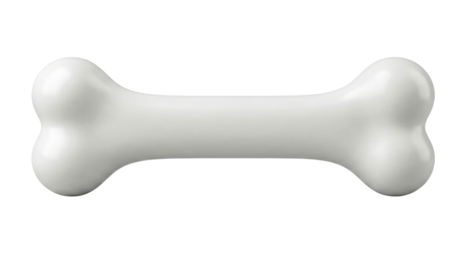 Isolated white bone illustration with smooth reflections against a transparent setting