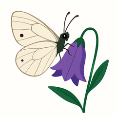 Minimalist and vibrant vector collection of different butterfly species sitting on spring and summer flowers. Flat design for digital projects, greeting cards, and nature-themed graphics.