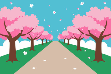 A picturesque pathway lined with blooming cherry blossom trees in spring