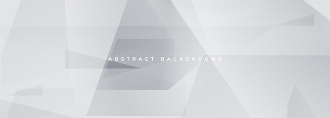 Vector abstract white and gray geometric background for bussines presentation or cover. Grey wide banner abstract pattern. Vector illustration