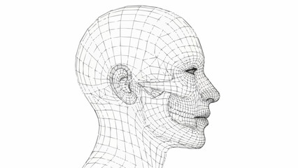 Wireframe human head profile with grid overlay.