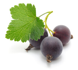 Jostaberry berries with green leaves isolated on white background
