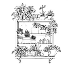 Botanical-themed shelving unit in fine line art, featuring an assortment of lush houseplants with varying leaf shapes and sizes, stacked storage boxes with intricate floral patterns, a crystal glass b