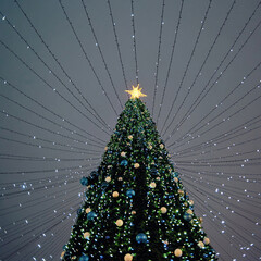 Large Christmas tree decorated with glowing lights and golden star shining under night sky during...